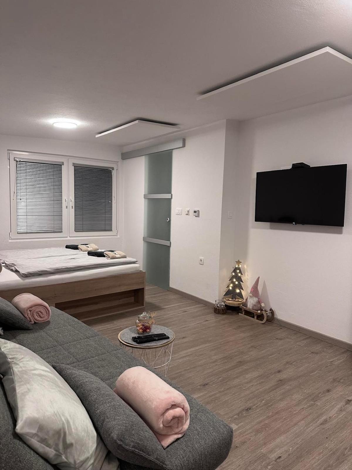 Apartma Studio Jana Kranjska Gora Extérieur photo